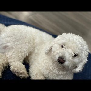 Meet your Posher, Jackie